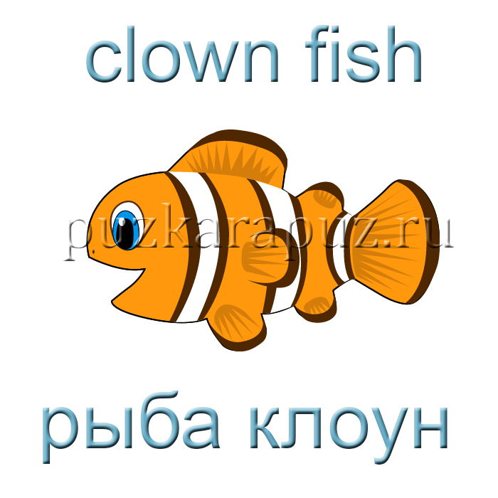 Тема рыб на английском