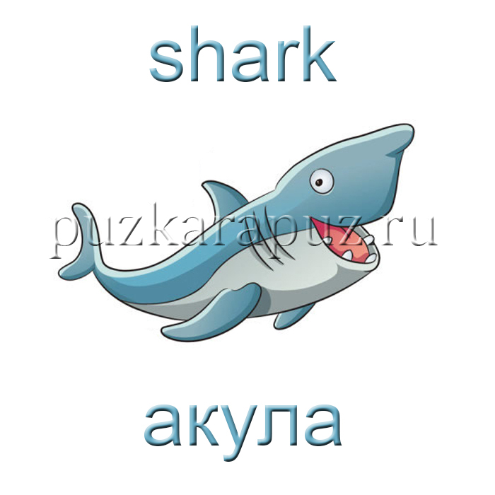 Морские животные на английском языке