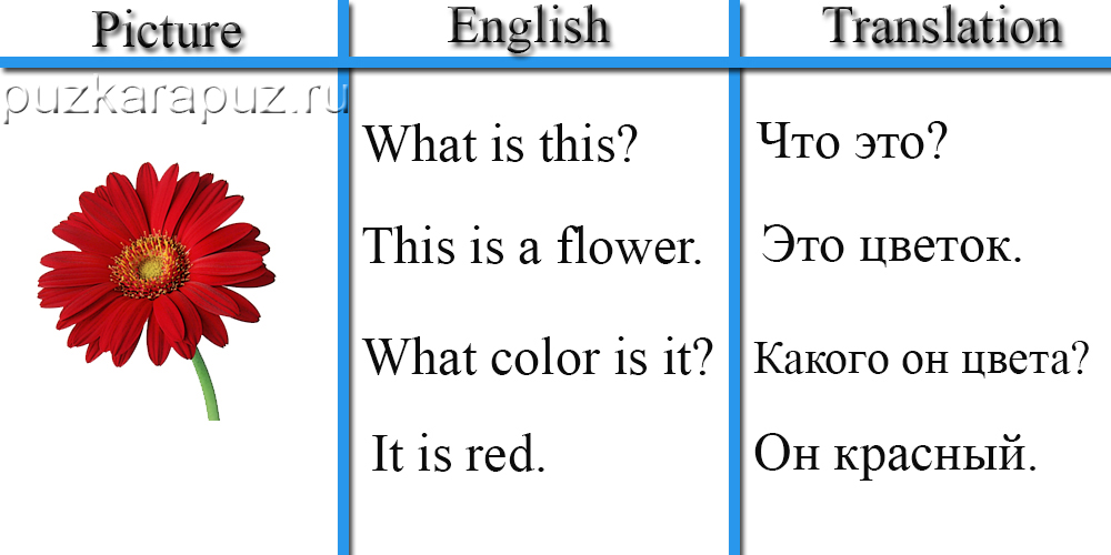 Урок английского цвета