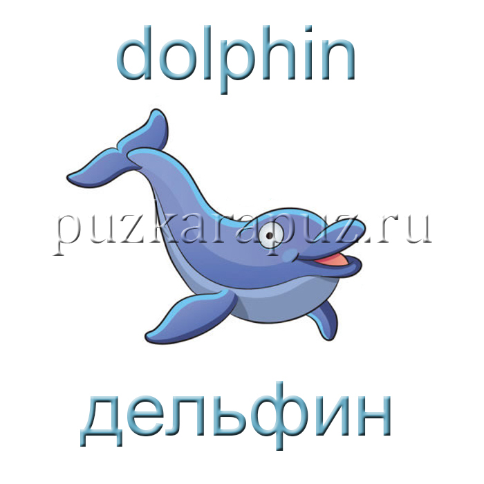 Рассказ про дельфина на английском языке для 6 классах