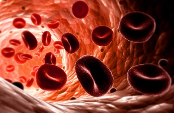 Система крови у детей. Детские и подростковые болезни, связанные с системой крови