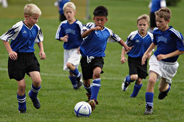 Каким видом спорта заняться ребенку? Развиваемся с интересом