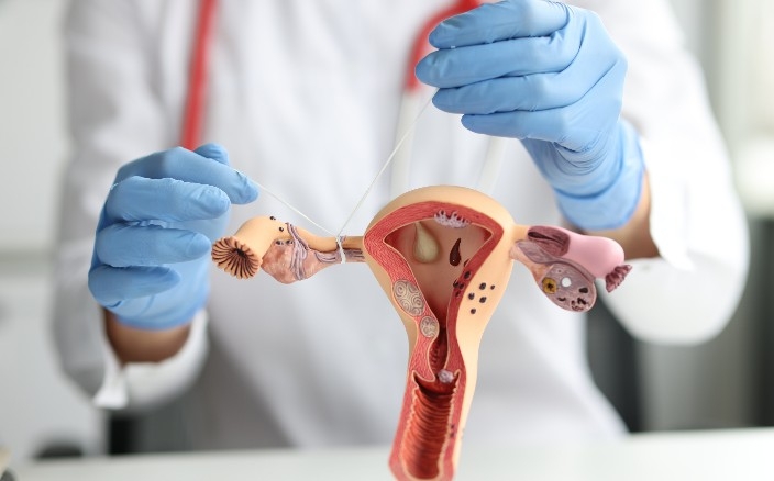 Хирургическая стерилизация женщин