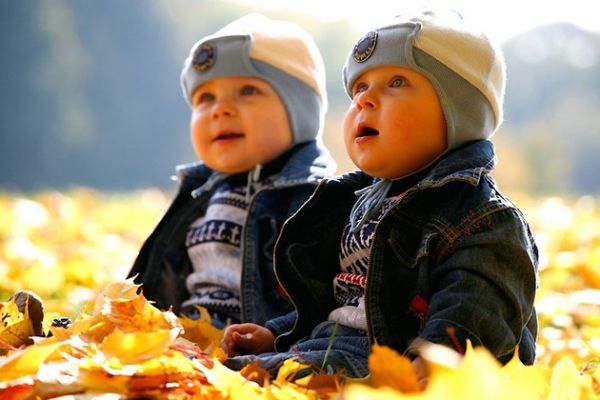 Дети двойняшки: особенности воспитания