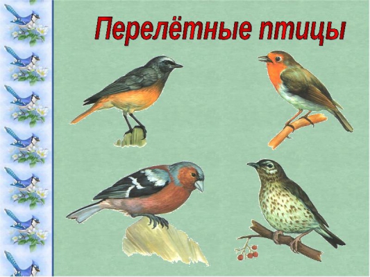 Тема урока: «Перелетные птицы». На английском языке с произношением